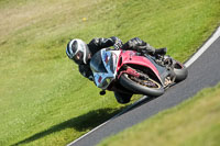 cadwell-no-limits-trackday;cadwell-park;cadwell-park-photographs;cadwell-trackday-photographs;enduro-digital-images;event-digital-images;eventdigitalimages;no-limits-trackdays;peter-wileman-photography;racing-digital-images;trackday-digital-images;trackday-photos